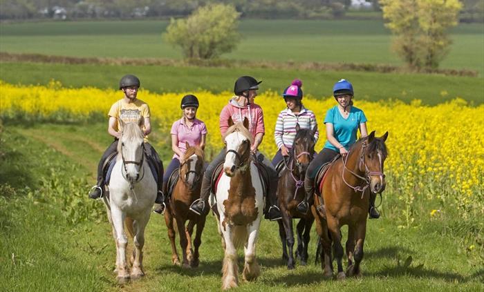 Horse Riding on Private Bridleways
